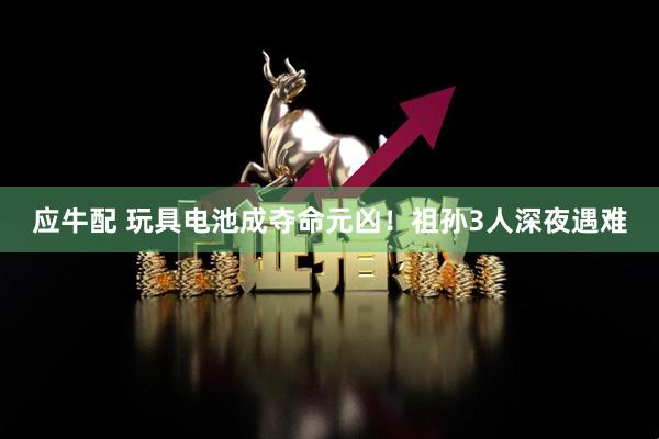 应牛配 玩具电池成夺命元凶！祖孙3人深夜遇难