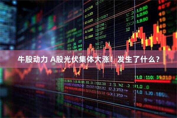 牛股动力 A股光伏集体大涨！发生了什么？
