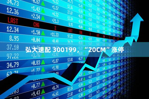 弘大速配 300199，“20CM”涨停