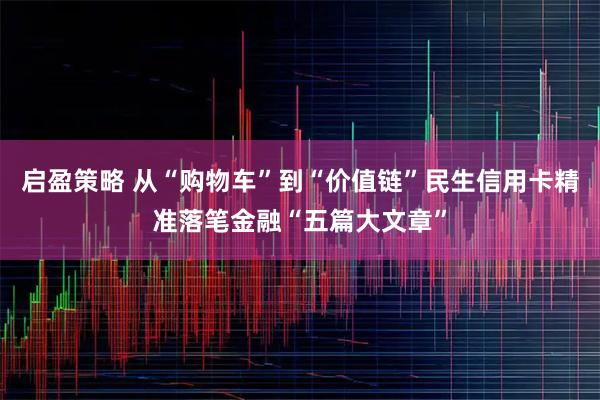 启盈策略 从“购物车”到“价值链”民生信用卡精准落笔金融“五篇大文章”