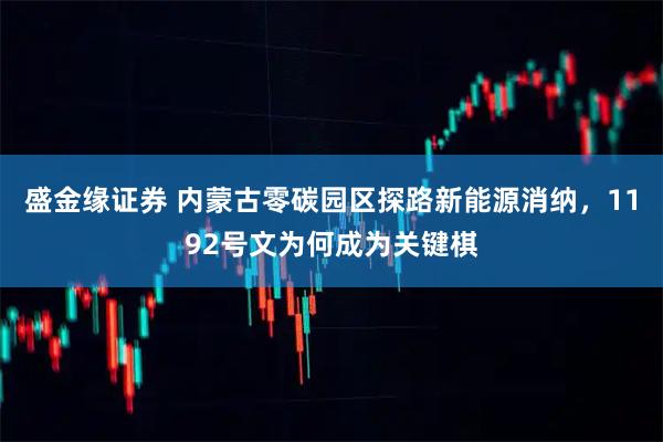盛金缘证券 内蒙古零碳园区探路新能源消纳，1192号文为何成为关键棋